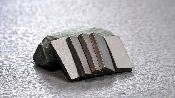 Op maat gemaakte OEM D1300MM Diamantsegment tips met metaalpoeder en diamantpoeder